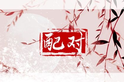 血型配对(民俗参考)